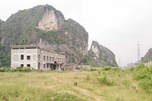 10 năm chưa xây nhà máy, Xi măng Phú Sơn vẫn níu kéo