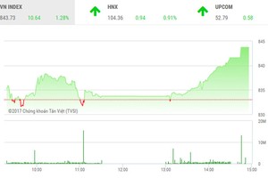 Phiên chiều 3/11: Thị trường tăng vọt cuối phiên, HBC trở lại sau cơn sóng gió