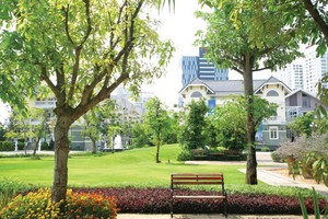 Việt Nam vay ADB 170 triệu USD cải tạo hạ tầng đô thị