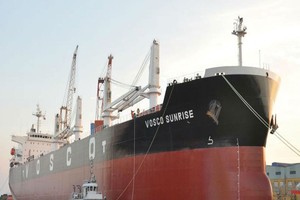 VOS đã thua lỗ quý thứ 11 liên tiếp