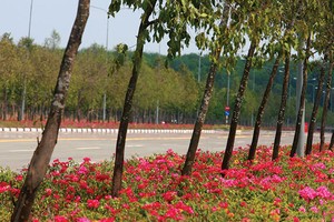 TDC dự kiến vượt kế hoạch lợi nhuận  