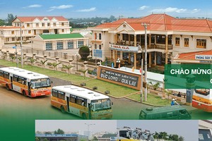 Vốn điều lệ DL1 tăng gấp 6 lần