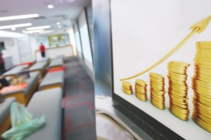 Thị trường chứng khoán Việt Nam còn nhỏ, khó đảm đương sứ mệnh hỗ trợ hiệu quả cho tái cơ cấu nền kinh tế