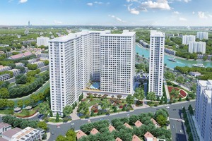 NBB: Cổ phiếu bị lãng quên