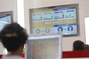 Nhiều quỹ đầu tư thắng lớn nhờ cách chọn danh mục