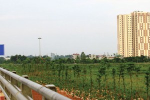 Năm 2018, Hà Nội sẽ thu hồi hàng nghìn héc-ta đất để làm dự án