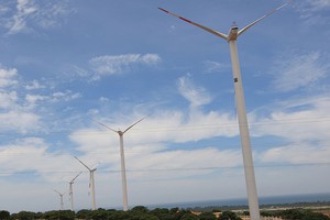 Phát triển điện gió: Bánh ngon kén nhà đầu tư