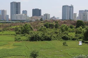 Các tài sản được đem bán hay thu giữ hầu hết là bất động sản