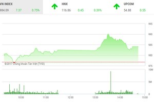 Phiên chiều 29/12: Sắc Xuân xanh
