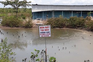 Biển cắm bán đất xuất hiện gần như mọi nơi ở Cần Giờ. Ảnh: Gia Huy