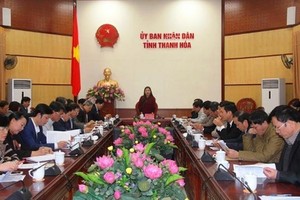 Bà Lê Thị Thìn, Phó chủ tịch UBND tinh Thanh Hóa chỉ đạo hội nghị