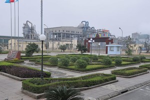 Tái cơ cấu Vinachem: Khó khăn vẫn chồng chất