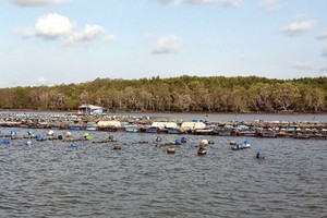 TP. HCM duyệt quy hoạch Khu đô thị Cần Giờ