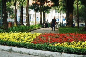 Sài Gòn thay áo hoa, sẵn sàng đón Tết 2018