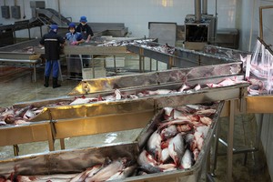 AGF điều chỉnh kế hoạch lợi nhuận từ 50 tỷ đồng về 0 đồng