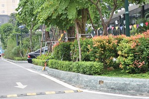 Không gian xanh tại EcoLife Capitol