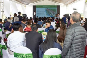 85% sản phẩm liền kề The Diamond Park có chủ