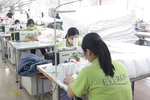 EVE trình kế hoạch phát hành 12 triệu USD trái phiếu chuyển đổi