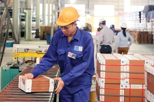 VHL lãi 30 tỷ đồng trong quý I