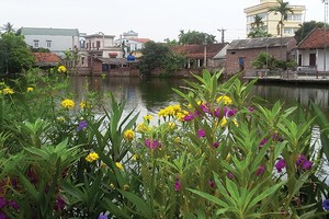 Đường hoa ở một vùng quê