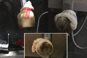 Người dân phải dùng mọi biện pháp để lọc cặn