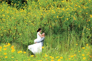 Đi về miền nắng lạnh