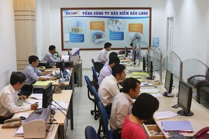 Bảo Long đặt mục tiêu tăng vốn lên 1.000 tỷ đồng vào năm 2019