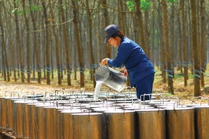 DPR ước đạt 53,1 tỷ đồng lợi nhuận trước thuế trong tháng 4