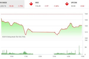 Phiên chiều 12/6: Dòng tiền bắt đáy hãm đà rơi của thị trường