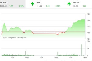 Phiên chiều 13/6: Bất ngờ tăng vọt