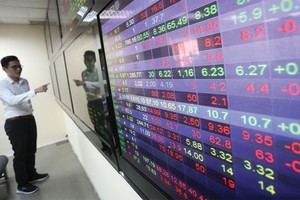 15 cá nhân tham gia đợt phát hành 24,5 triệu cổ phiếu HID