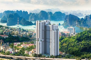 Hấp lực căn hộ dịch vụ ven biển