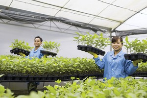 Nafoods kỳ vọng tăng trưởng trong năm 2018