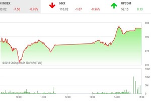 Phiên chiều 26/6: Cổ phiếu nhỏ khởi sắc, VN-Index hãm đà rơi