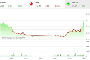 Phiên chiều 29/6: Sắc xanh trở lại