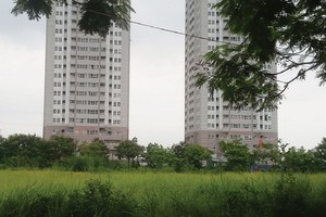 Hà Nội: 206 lượt khiếu nại, tố cáo liên quan đến đất đai