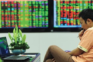 VIG: Xuất hiện cổ đông lớn cá nhân