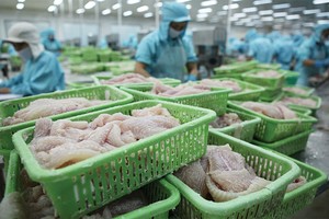 Do tác động của chiến tranh thương mại, doanh nghiệp xuất khẩu cá tra Việt Nam được đánh giá có nhiều lợi thế khi xuất khẩu vào thị trường Mỹ và Trung Quốc.