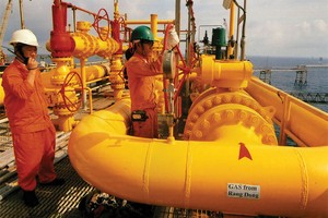 Từ khi tỷ giá bắt đầu nhích tăng từ cuối tháng 5 đến nay, diễn biến của hầu hết cổ phiếu dầu khí là đi xuống