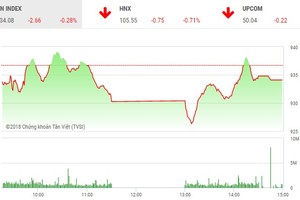 Phiên chiều 24/7: Cặp đôi cổ phiếu của bầu Đức HAG và HNG nổi sóng