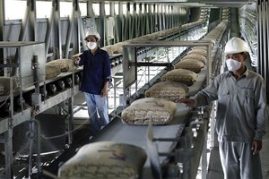 Tiêu thụ xi măng nội địa ổn định, xuất khẩu bứt phá