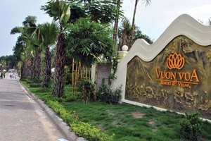 TIG: Lợi nhuận quý II gấp đôi cùng kỳ