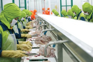 Doanh nghiệp nông nghiệp sốt ruột về vốn và thuế