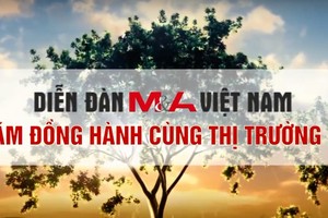 Diễn đàn M&A: 10 năm đồng hành cùng thị trường 
