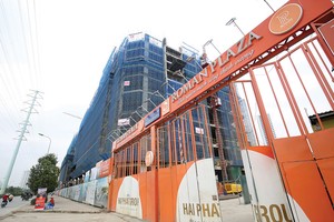 Nhãn hiệu có gắn kèm với hình ảnh, logo, tính bảo hộ sẽ cao hơn. Ảnh: Dũng Minh