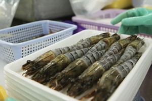 Năm 2017, Việt Nam là nhà xuất khẩu tôm lớn thứ 3 thế giới, với kim ngạch xuất khẩu 3,85 tỷ USD