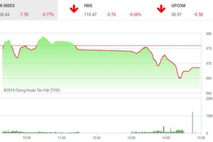 Phiên chiều 5/9: Bluechip tiếp tục bị bán mạnh, VN-Index rơi mốc 970 điểm