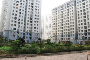 Đà Nẵng sẽ thu hồi các căn hộ cho thuê không chính chủ