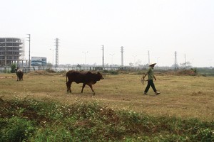 Gỡ vướng một số quy định về đất đai