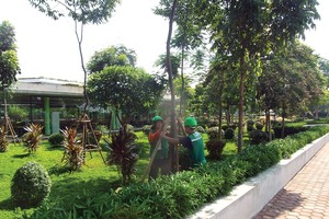 Dự án xanh, xanh theo chuẩn nào?